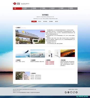 網站制作設計的企業 (網站制作設計價格)