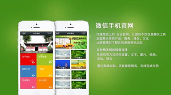 江陰微官網 微網站做的最牛的公司